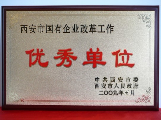 2009年5月，被西安市委、市当驹炖为西安市国企业鼎新工作优良单元
