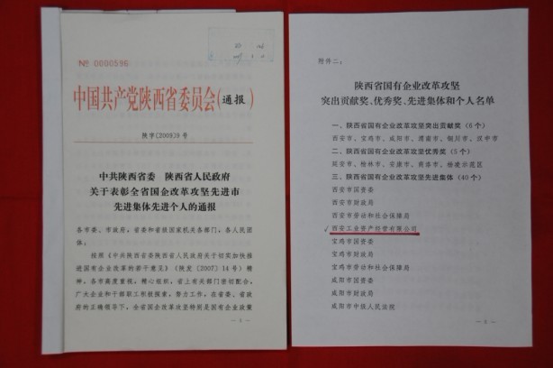 2009年2月，被陕西省委、省敌灾授予陕西省国有企业鼎新攻坚先进集体